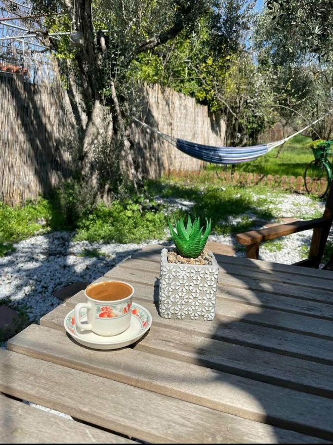 Sol'S Place Mytilene Ngoại thất bức ảnh
